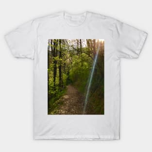 Afternoon Walk T-Shirt